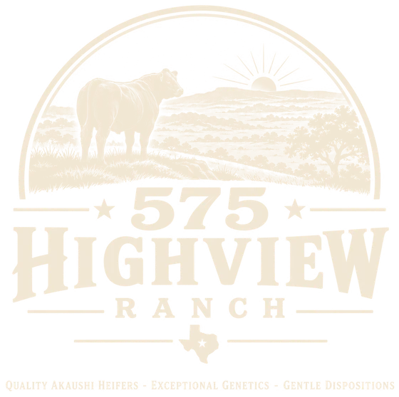 575 Highview Ranch