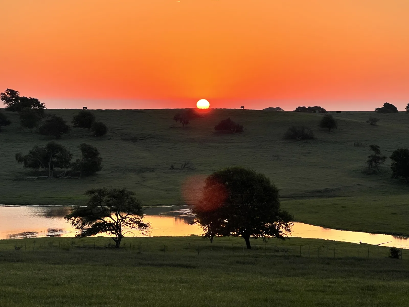 Sustainable Grazing Practices on the High Plains